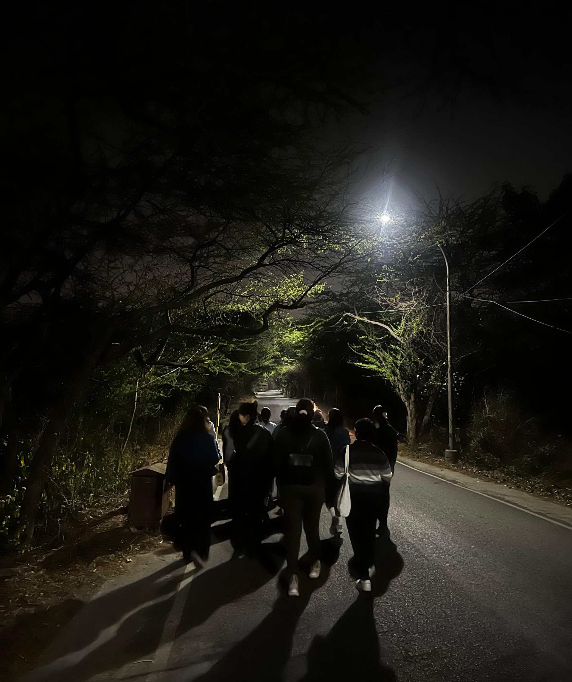 Women Walk at Midnight