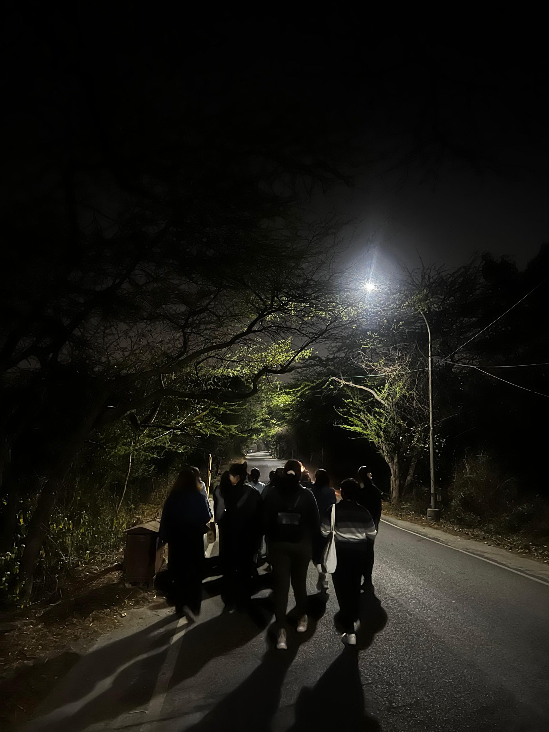 Women Walk at Midnight