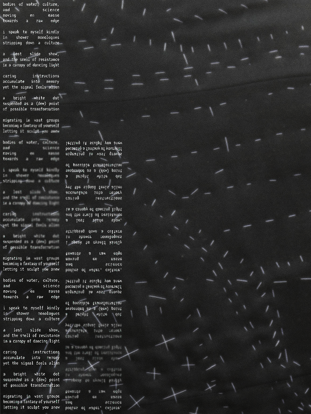 Visible Mending Workshop